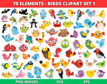 Cute Birds svg bundle, Cute Funny Birds clipart, Birds svg, Spring Birds, Bird clipart, Tropical Birds Clipart, Bird on a branch SVG PNG EPS