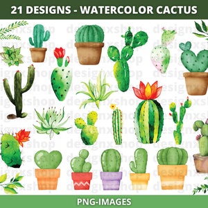 Cactus de acuarela, imágenes prediseñadas SVG, cactus floral, planta tropical de acuarela, imágenes prediseñadas PNG, imágenes prediseñadas digitales, plantas desérticas, vegetación png