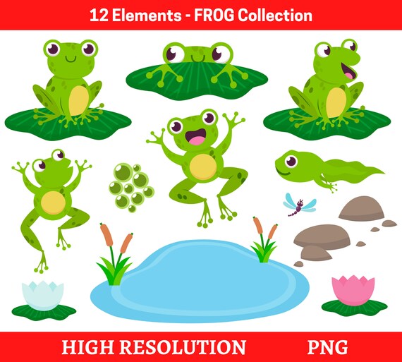 Frogs Clipart Pond Clipart Lilypads Clipart Summer Clipart - Etsy