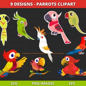 Imágenes prediseñadas de loros, imágenes prediseñadas de aves tropicales, imágenes prediseñadas de aves, imágenes prediseñadas de loros coloridos, loros Svg, descarga digital / SVG, EPS, PNG