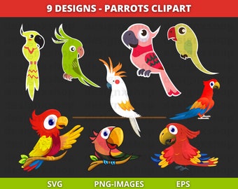 Papageien Clipart, Tropische Vögel Clipart, Vögel Clipart, bunte Papageien Clipart, Papageien SVG, digitaler Download | SVG, EPS, PNG