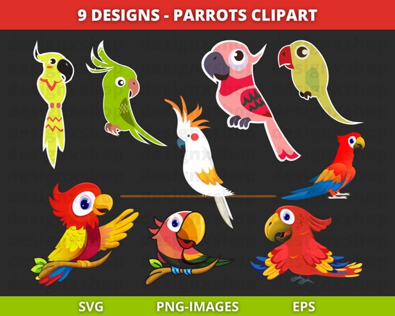 Parrots Clipart, Tropical Birds clipart, Birds clipart, Colorful Parrots clipart, Parrots Svg, Digital Download | SVG, EPS, PNG