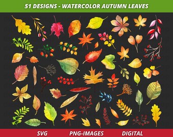 Watercolor Autumn Leaves Clipart | 51 Fall Leaf Designs SVG PNG | Hand-Painted Thanksgiving Foliage Illustrations for Crafts & Invitations