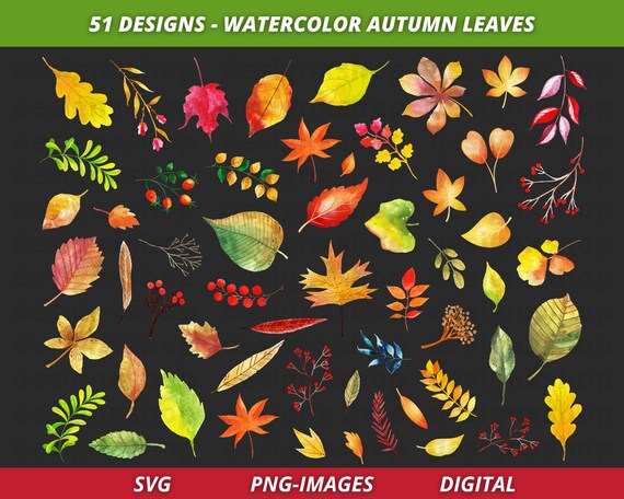 Watercolor Autumn Leaves Clipart, Fall leaves clipart, Watercolor leaves clipart, Autumn leaves and branches, Instant Download SVG and PNG
