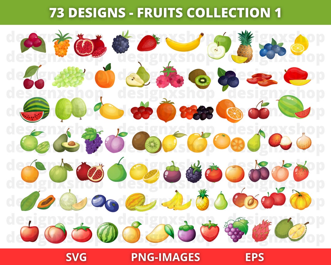 Fruits Clipart: Summer Tropical SVG & PNG Bundle - Etsy