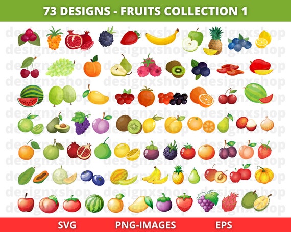 Fruits Clipart, Fruit SVG Bundle, Summer Fruits, Tropical Fruits clipart, Colorful Fruits Clipart, Food Clipart, Download SVG and PNG