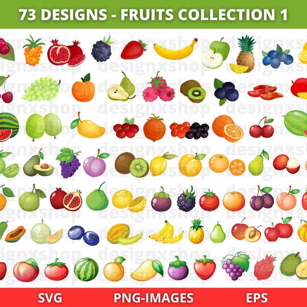 Fruits Clipart, Fruit SVG Bundle, Summer Fruits, Tropical Fruits clipart, Colorful Fruits Clipart, Food Clipart, Download SVG and PNG