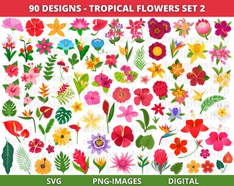 Tropical Flower svg, Tropical Flower clipart, Hawaiian flower svg, Flowers svg, Hibiscus svg, Summer svg, Tropical clipart, Summer clipart