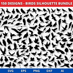 SVG uccello, pacchetto SVG uccello, SVG uccello volante, SVG animale, Clip Art uccello, SVG passero, file per Cricut, sagoma uccello, SVG uccelli