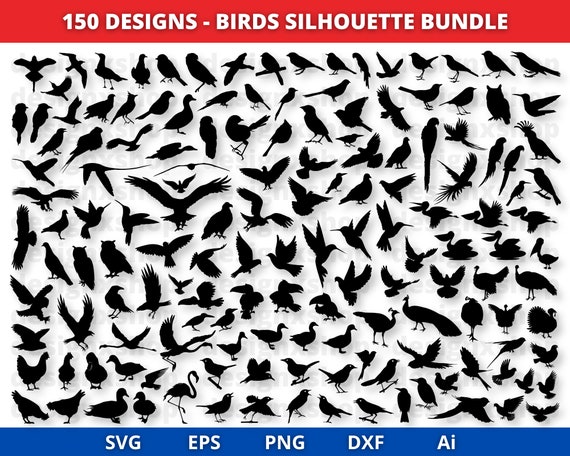 Bird SVG, Bird Svg Bundle, Flying Bird Svg, Animal Svg, Bird Clip Art, Sparrow Svg, Files for Cricut, Bird Silhouette, Birds Svg