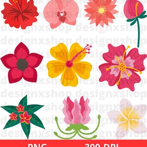 Tropical Flower Svg, Tropical Flower Clipart, Hawaiian Flower Svg ...