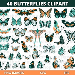 Clipart de borboleta, Butterfly Svg, Butterfly Bundle Cricut SVG Files, Borboletas, Clipart de primavera, Clipart de natureza, Clipart de inseto, PNG e SVG
