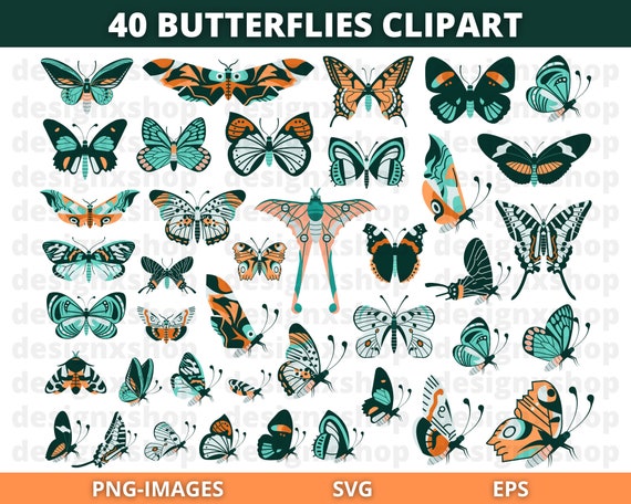 Butterfly clipart, Butterfly Svg, Butterfly Bundle Cricut SVG Files, Butterflies, Spring clipart, Nature clipart, Bug clipart, PNG and SVG