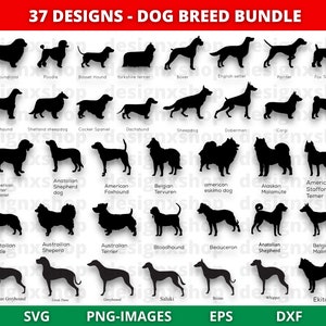 Hunderassen Silhouette | Hunderasse SVG | Hund Silhouette | Hunde Clipart | Hunde-Svg-Dateien für Cricut | Tier geschnitten Datei | Digitaler Download
