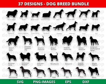 How Much Dog Breeds are There: Discover the Ultimate Count