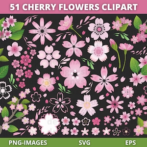 Cherry Flower clipart, Cherry Blossom Svg, Floral clipart, Flower clipart, pink flowers, Spring clipart, Floral Plants, Branch, PNG and SVG