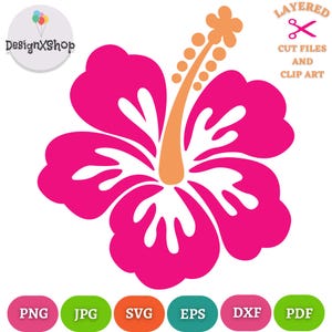 Hibiskus-Svg, Hibiskus-Blumen-Svg, Hibiskus-Clipart, Hawaii-Blumen-Svg, Blumen-Svg, Tropische Blumen Clipart, Dateien für Cricut