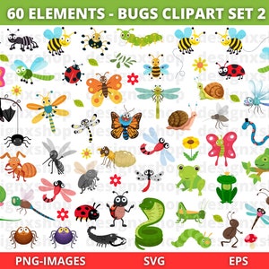 Clipart insetti, Clipart insetti, Clipart farfalle, Set clipart insetti 2, Bundle insetti svg, Insetti svg, Coccinella svg, Primavera, Scarica SVG e PNG