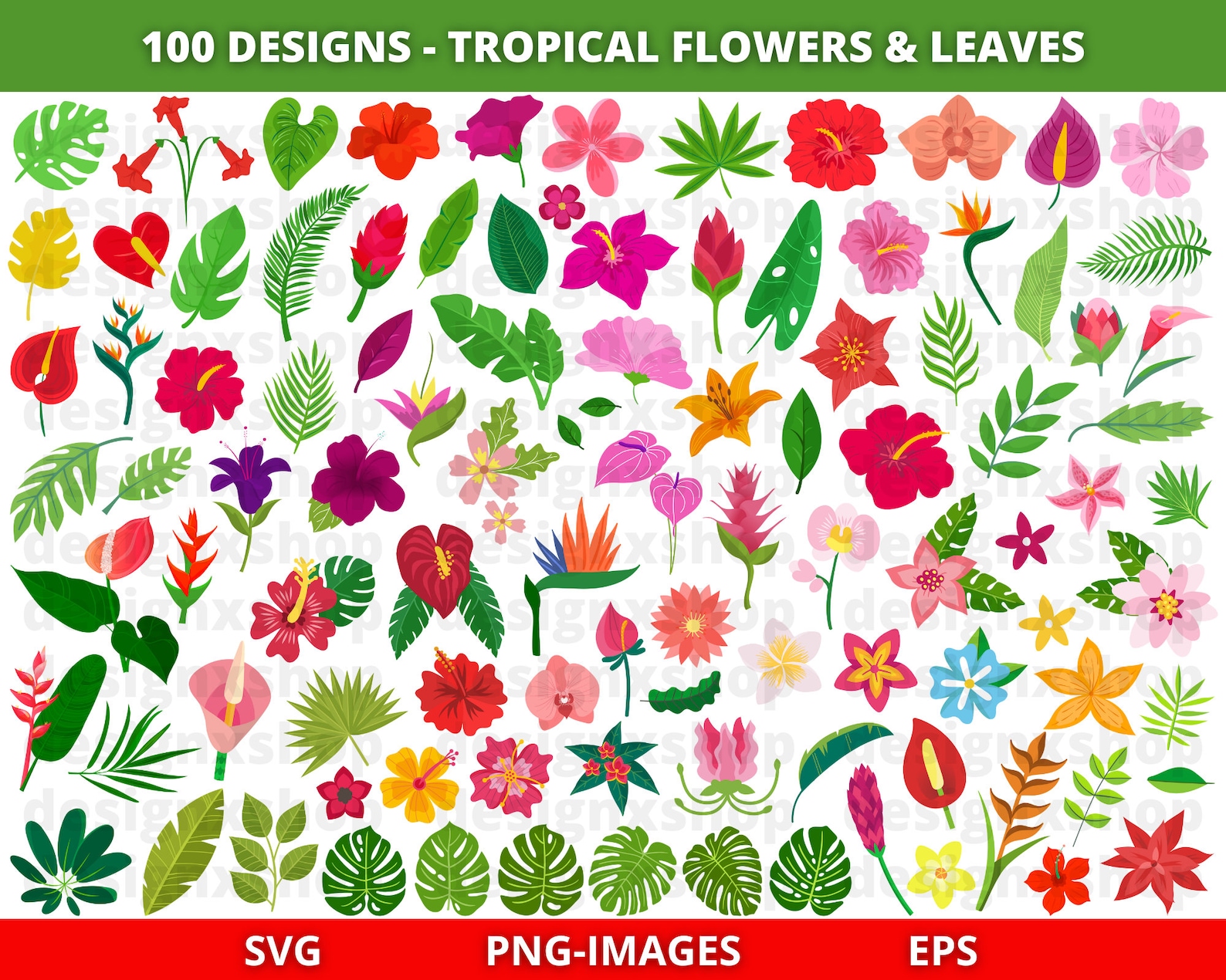 Tropical Flower Svg, Tropical Flower Clipart, Hawaiian Flower Svg ...
