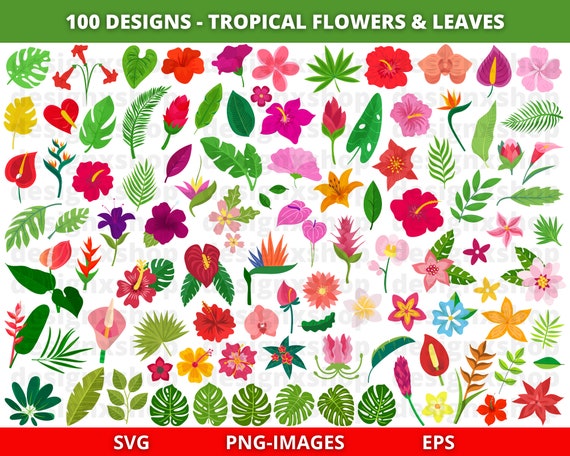 Tropical Flower svg, Tropical Flower clipart, Hawaiian flower svg, Flowers svg, Hibiscus svg, Summer svg, Tropical clipart, Summer clipart