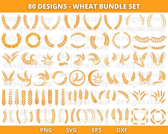 Wheat Svg Bundle | Wheat Svg | Grain Svg |  Svg Files For Cricut | Instant Download | Harvest Svg | Farm Svg | Fall Svg | Thanksgiving Svg