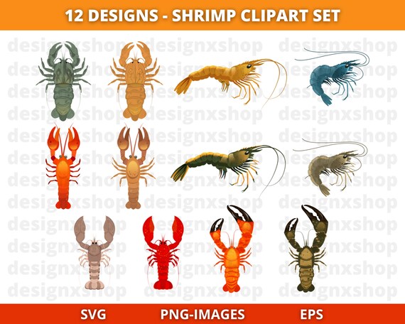 Shrimp clipart, Prawn clipart, Prawn shrimp clipart, Crawfish boil clipart, Sea creature, Under the sea, Fish clipart, Download SVG and PNG