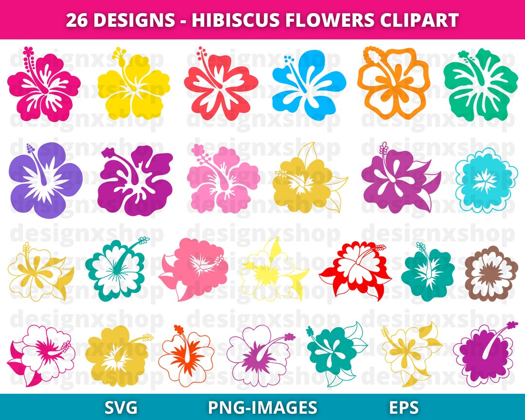 Hibiscus Flower SVG Bundle: Tropical Clipart (26 Designs) - Etsy