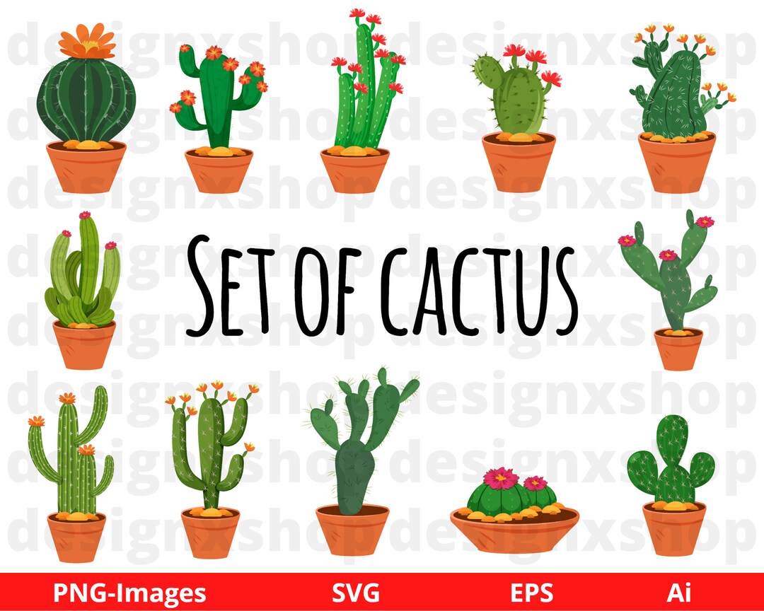 Cactus PNG - Watercolor Cactus, Cactus Flower, Cartoon Cactus, Cactus  Vector, Cute Cactus, Cactus Background, Cactus Border, Cactus Silhouette,  Desert Cactus, Christmas Cactus, Mexican Cactus, Cactus Cute, Cactus  Design, Cactus Plants, Prickly