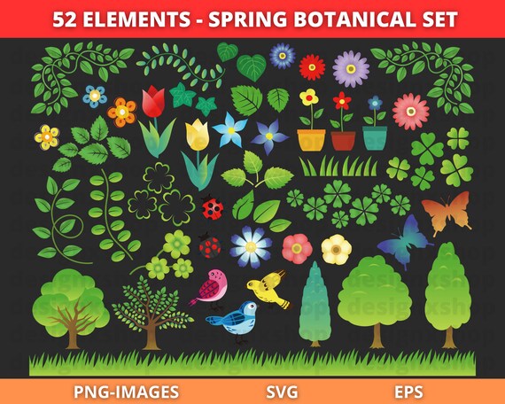 Spring clipart, Botanical Flower clipart, Floral clipart, Summer clipart, Garden clipart, Flower clipart, Instant download SVG and PNG