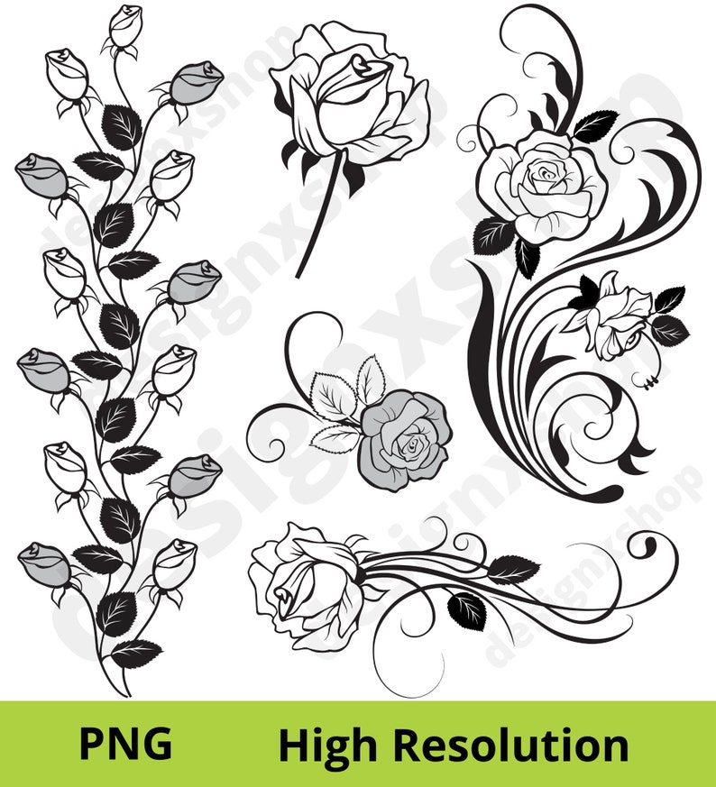 May include: Five black and white illustrations of roses with intricate floral designs. The roses are drawn in a classic style with detailed petals and leaves.