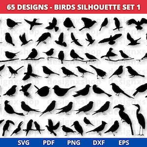 Bird SVG, Bird Svg Bundle, Flying Bird Svg, Animal Svg, Bird Clip Art, Sparrow Svg, Files for Cricut, Bird Silhouette, Birds Svg