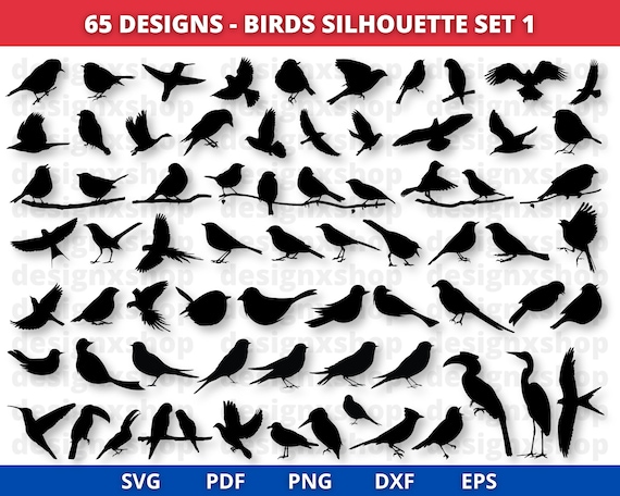 Bird SVG, Bird Svg Bundle, Flying Bird Svg, Animal Svg, Bird Clip Art, Sparrow Svg, Files for Cricut, Bird Silhouette, Birds Svg