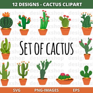 Clipart cactus, cactus svg, cactus, plantes mignonnes, clipart cactus mignon, cactus floral, plantes svg, téléchargement numérique SVG | BPA | PNG