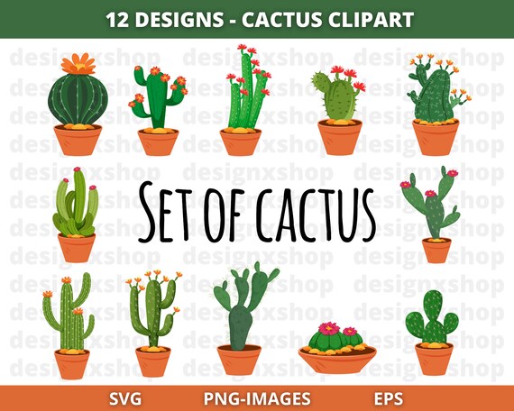 Cactus Clipart, Cactus svg, cacti, cactuses, cute plants, Cute cactus clipart, Floral Cactus, Plants svg, Digital Download SVG | EPS | PNG