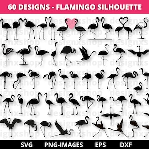 Flamingo Silhouette SVG Bundle: Summer Clipart (60 Designs)