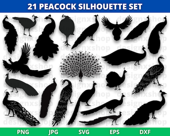 Peacock SVG bundle, Peacock svg, Peacock clipart, Peacock silhouette, Cute Peacock PNG, Bird svg, Instant Download for Cricut