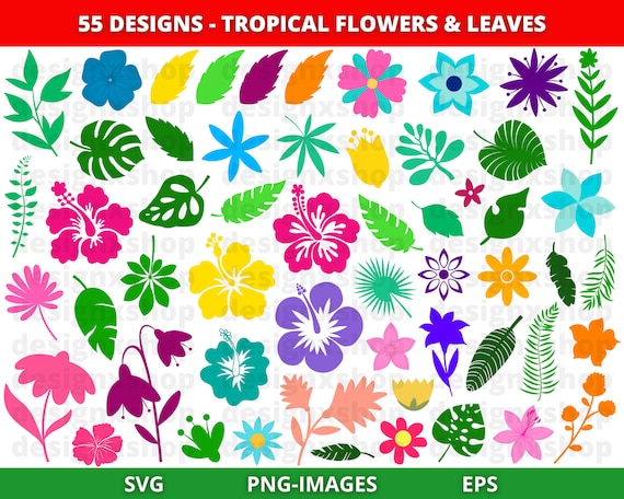 Tropical flower svg, Hawaiian flower svg, Hibiscus svg, Flowers svg, Flower clipart,  Hawaii svg, Cut file for cricut and silhouette