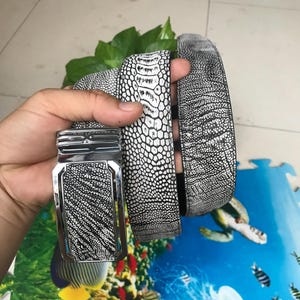 May include: A black and white leather belt with a silver buckle. The belt is made of stingray skin and has a unique pattern.