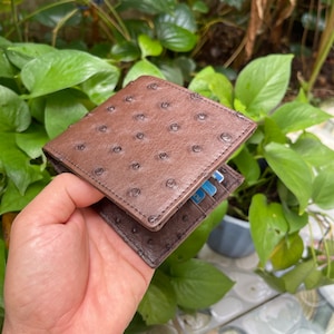 BRUIN echte dubbelzijdige struisvogel lichaam lederen huid bifold portemonnee/geld clip/echte struisvogel lederen bifold portemonnee kaart luxe/cadeau voor hem