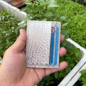 HIMALAYA Kreditkartenhalter aus echtem ALLIGATOOR-Leder / Visitenkartenhalter Kartenetui / Mini Minimalist RILD Bifold Brieftasche aus Leder