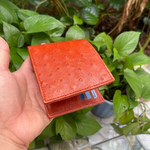 BRUIN echte dubbelzijdige struisvogel lichaam lederen huid bifold portemonnee/geld clip/echte struisvogel lederen bifold portemonnee kaart luxe/cadeau voor hem