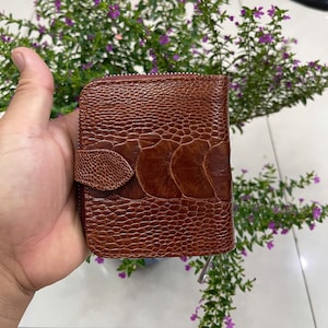 Cartera plegable de piel de avestruz auténtica marrón con cremallera y clip para billetes para mujer, cartera para mujer, regalo para ella, cartera con cremallera para mujer