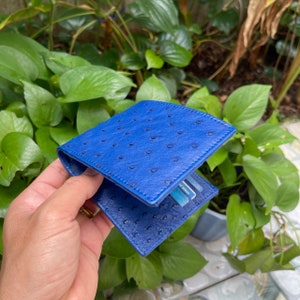 BLUE 本物の両面ダチョウ革スキン二つ折り財布/マネークリップ/本物のダチョウ革二つ折り財布カード高級/男性へのギフト