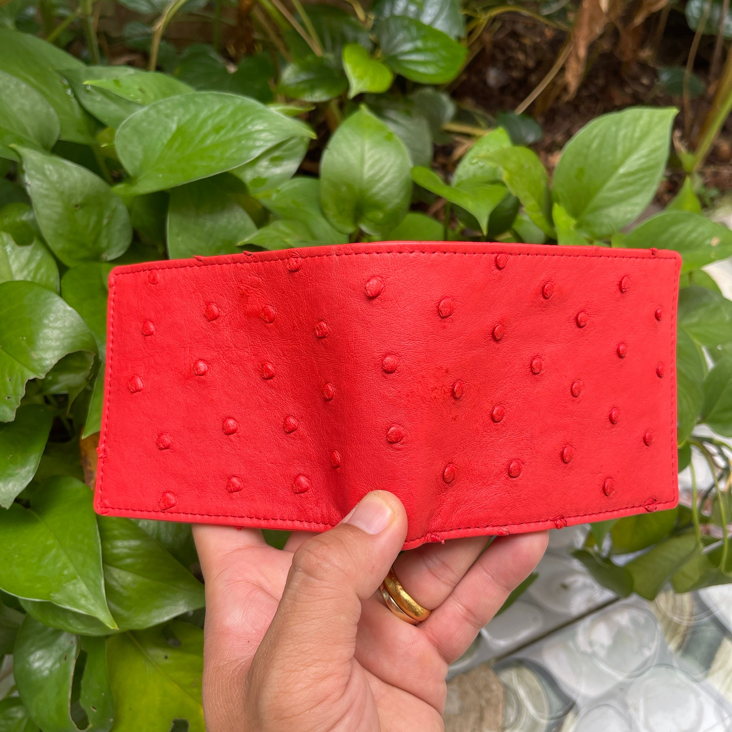 Portafoglio Bifold Uomo In Pelle Di Struzzo Nero/rosso - Vintage Artigianale Vietnam