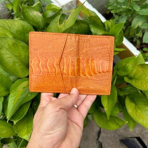 Porte-cartes de crédit en cuir de jambe d'autruche véritable ORANGE/Porte-cartes mince avec porte-cartes de visite/Porte-cartes minimaliste/Porte-cartes fait main