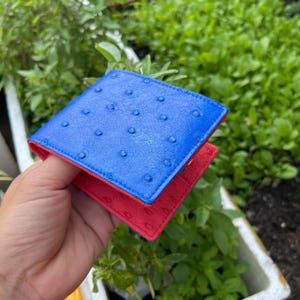 BLUE 本物の両面ダチョウ革スキン二つ折り財布 マネークリップ/本物のダチョウ革二つ折り財布 カード 高級/男性へのギフト