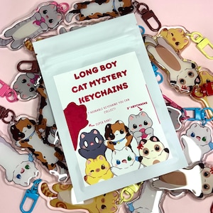 Porte-clés sac mystère | porte-clés | porte-clés chat | chat