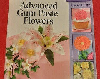 Wilton Cake Decorating Course #4 Discontinued by Manufacture Hard to Find