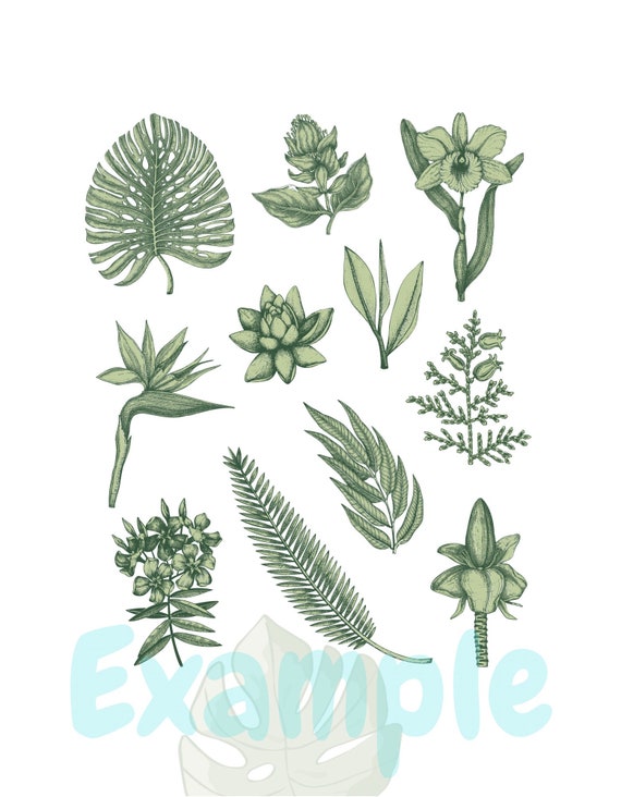 Assorted Green Plants 1 Png File Digital Print Design Print on - Etsy