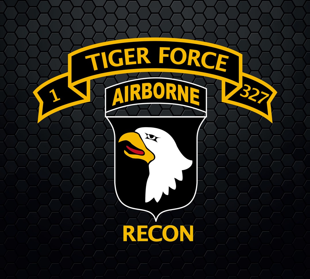 1-327 Airborne Infantry 